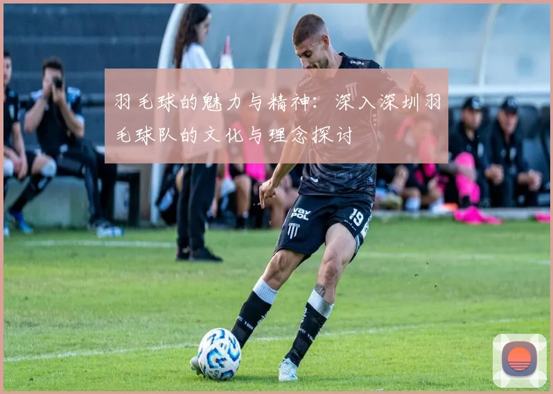 羽毛球的魅力与精神：深入深圳羽毛球队的文化与理念探讨